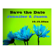 Teal Turquoise Gerber Daisies Lime Green Save Date Postcard