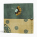 Back/Spine