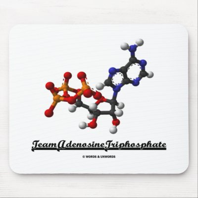 Adenosine Triphosphate ATP