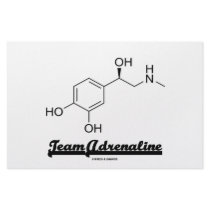 Team Adrenaline (Chemical Molecule Humor) Stationery