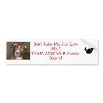 Team APBT Bumper Stickers