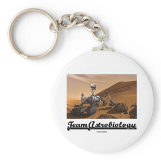 Team Astrobiology (Curiosity Mars Rover Landscape) Key Chains