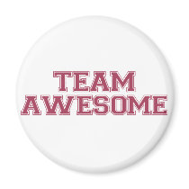 Team Awesome magnets