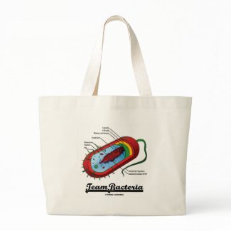 Team Bacteria (Prokaryote) bag