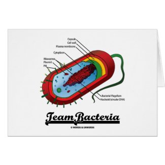 Team Bacteria (Prokaryote) card