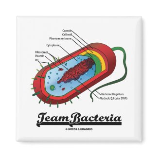 Team Bacteria (Prokaryote) magnet