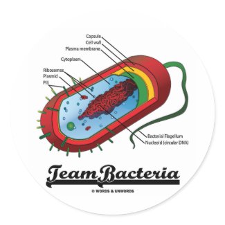 Team Bacteria (Prokaryote) sticker