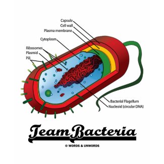 Team Bacteria (Prokaryote) shirt