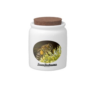 Team Beekeeper (Bee On Yellow Flower) Candy Jars
