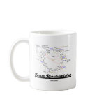 Team Biochemistry (Krebs Cycle Citric Acid Cycle) Mug