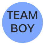 Team Boy Baby Shower Stickers