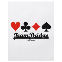Team Bridge Flyer