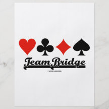 Team Bridge Flyer