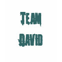 Team David t-shirts