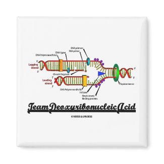 Team Deoxyribonucleic Acid (DNA Replication) magnet