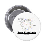 Team Krebs Cycle (Citric Acid Cycle - TCAC) Button