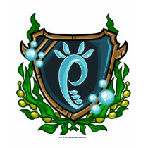 Team Maraqua Logo t-shirts