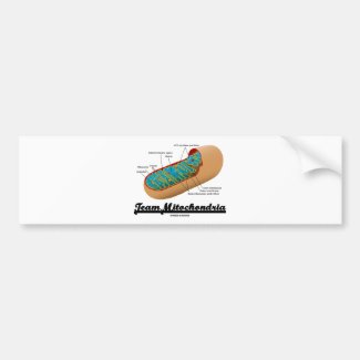 Team Mitochondria (Mitochondrion Humor) Bumper Sticker