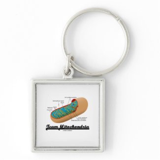 Team Mitochondria (Mitochondrion Humor) zazzle_keychain