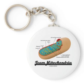 Team Mitochondria (Mitochondrion Humor) zazzle_keychain