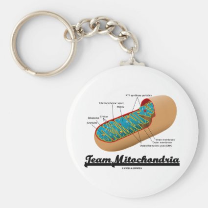 Team Mitochondria (Mitochondrion Humor) Keychain