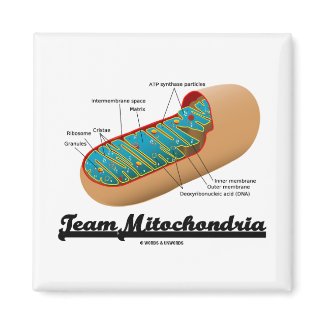 Team Mitochondria (Mitochondrion Humor) zazzle_magnet