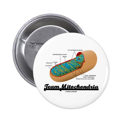 Team Mitochondria (Mitochondrion Humor) Pin