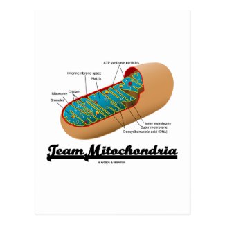 Team Mitochondria (Mitochondrion Humor) Postcard