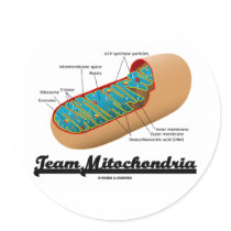 Team Mitochondria (Mitochondrion Humor) Sticker