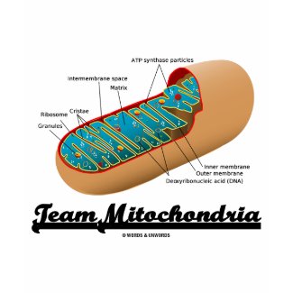 Team Mitochondria (Mitochondrion Humor) zazzle_shirt