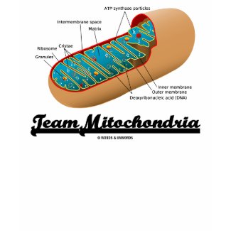 Team Mitochondria (Mitochondrion Humor) zazzle_shirt