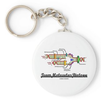 Team Molecular Biology (DNA Replication) zazzle_keychain