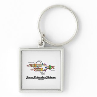 Team Molecular Biology (DNA Replication) zazzle_keychain