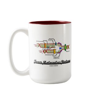 Team Molecular Biology (DNA Replication) zazzle_mug