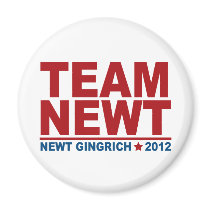 Team Newt Gingrich 2012 magnets