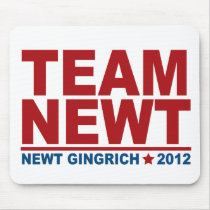 Team Newt Gingrich 2012 mousepads