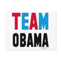 Team Obama Merch postcards