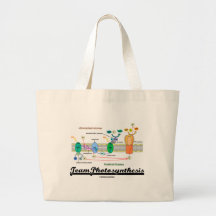 Team Photosynthesis (Light-Dependent Reactions) Bags