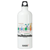 Team Photosynthesis (Light-Dependent Reactions) SIGG Traveler 1.0L Water Bottle