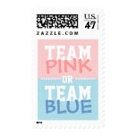 Team Pink or Team Blue Baby Gender Postage
