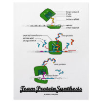 Team Protein Synthesis (Biology) Custom Letterhead