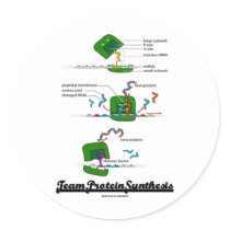 Team Protein Synthesis (Biology) Round Stickers