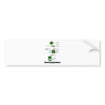 Team Protein Synthesis Bumper Stickers
