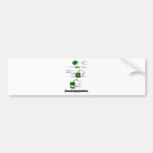 Team Protein Synthesis Bumper Stickers