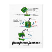Team Protein Synthesis Postcards