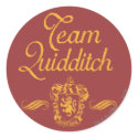 Team Quidditch sticker