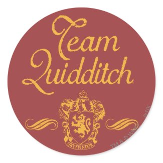 Team Quidditch sticker