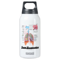 Team Respiration (Respiratory System) 10 Oz Insulated SIGG Thermos Water Bottle