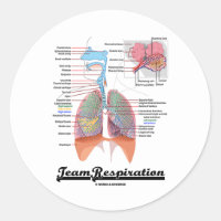 Team Respiration (Respiratory System) Classic Round Sticker