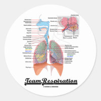 Team Respiration (Respiratory System) Classic Round Sticker